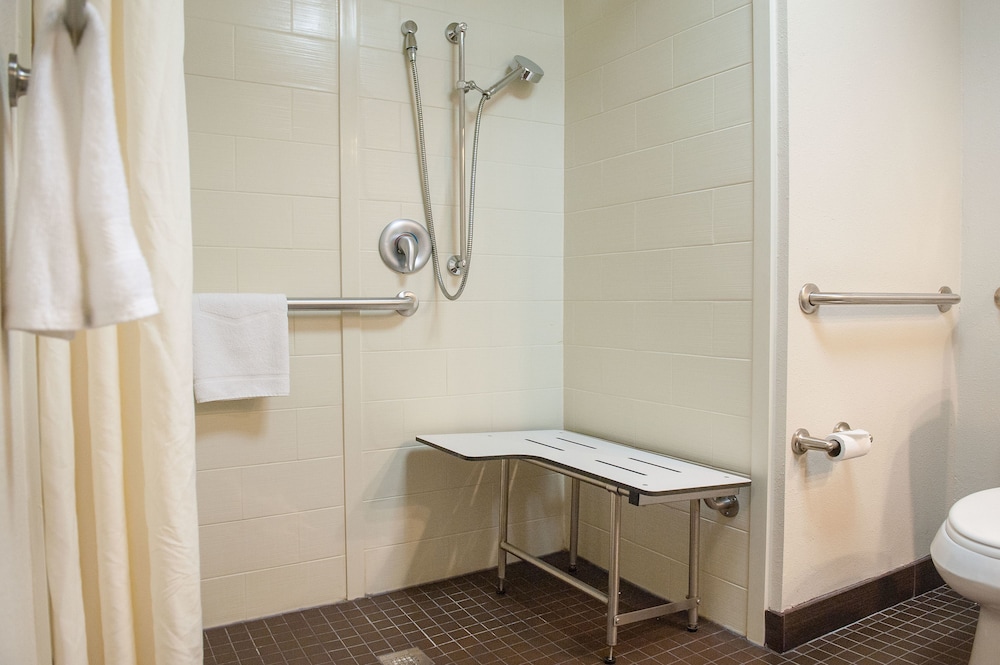 Studio Suite, 1 King Bed with Sofa bed, Accessible (Roll-in Shower) - Photo 8