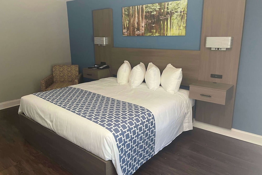 Room, 1 King Bed, Non Smoking - Photo 1