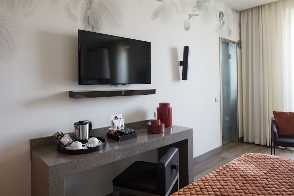 Deluxe Double or Twin Room photo 2