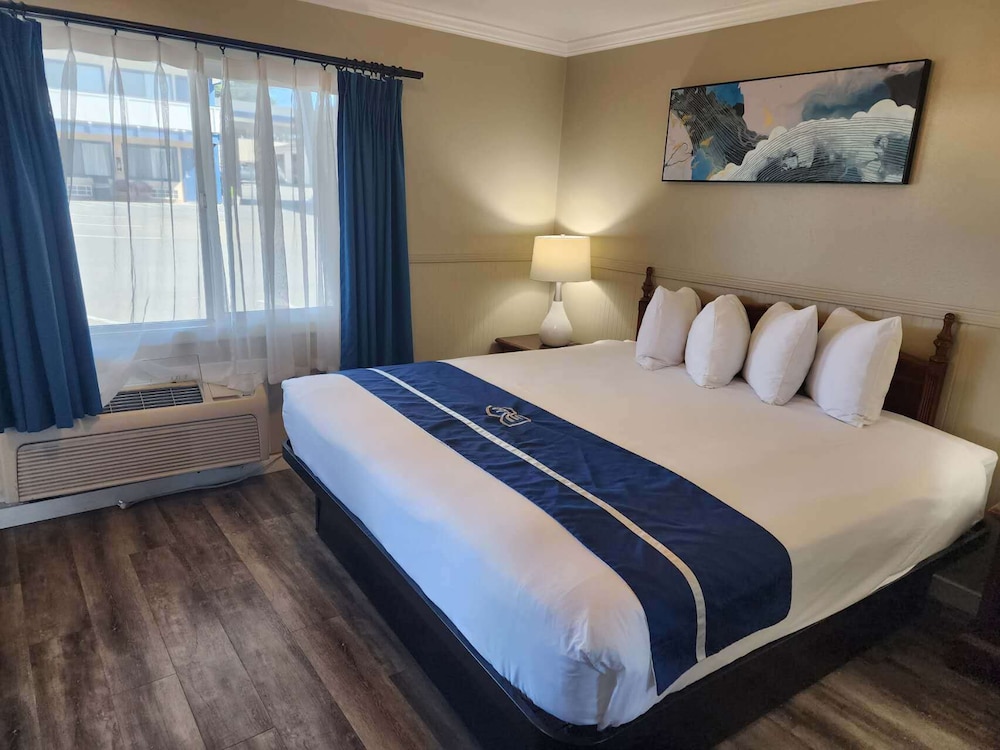 Junior Suite 1 King photo 2