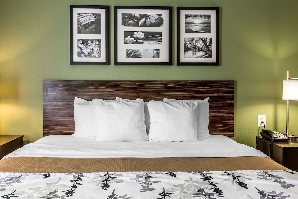 Standard Room, 1 King Bed, Non Smoking - Photo 3