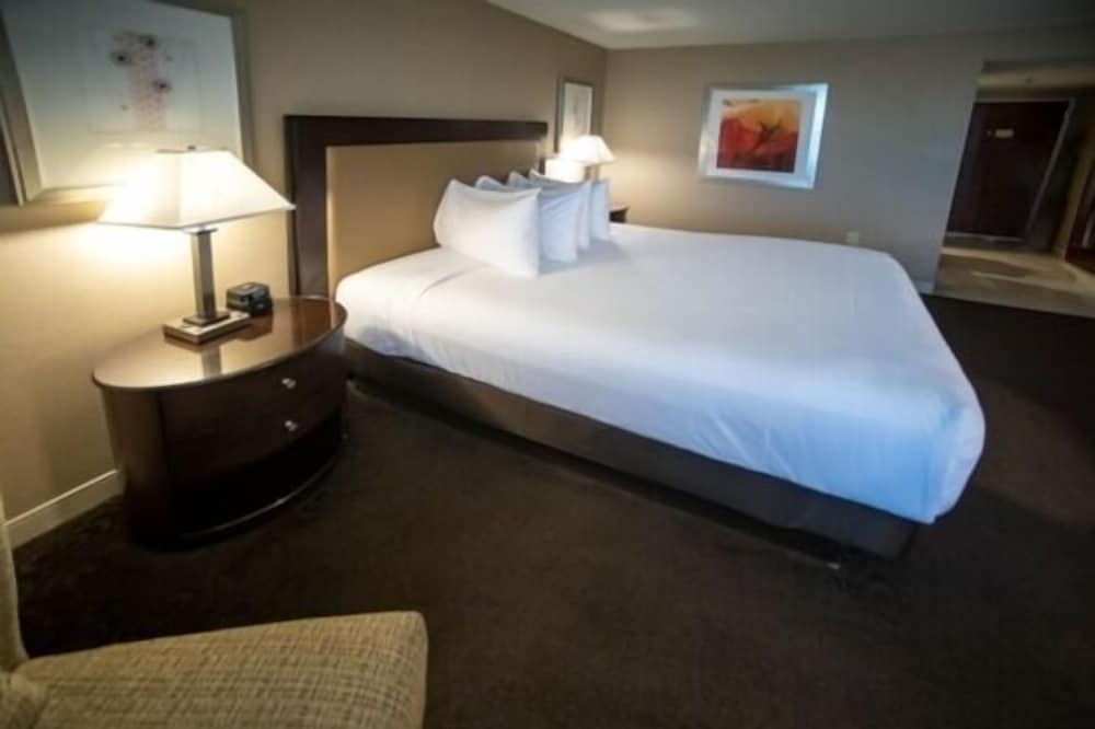 Deluxe Room, 1 King Bed, Smoking - Photo 3