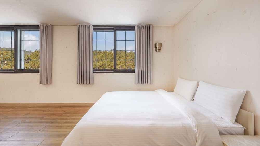 Basic Room, 1 Bedroom (room 203)