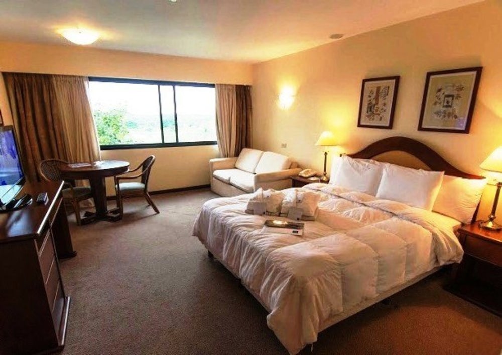 Suite, 1 King Bed photo 3
