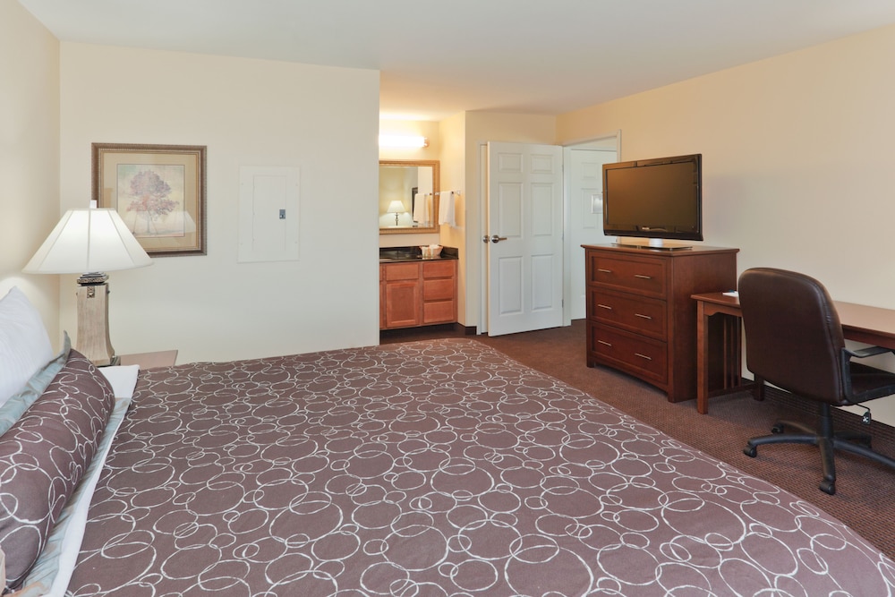 Suite, 1 Bedroom, Kitchen - Photo 1