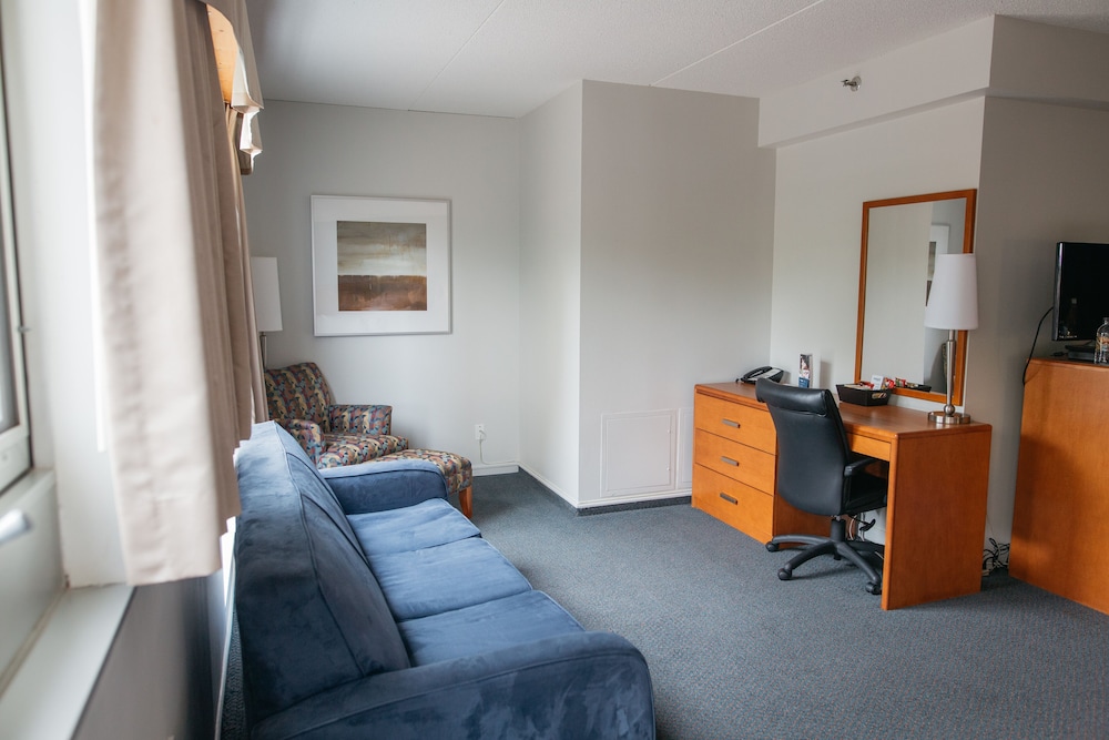 Executive Suite, 1 King Bed with Sofa bed