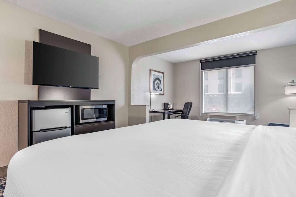 Suite, 1 King Bed, Non Smoking, Refrigerator & Microwave (with Sofabed) photo 1