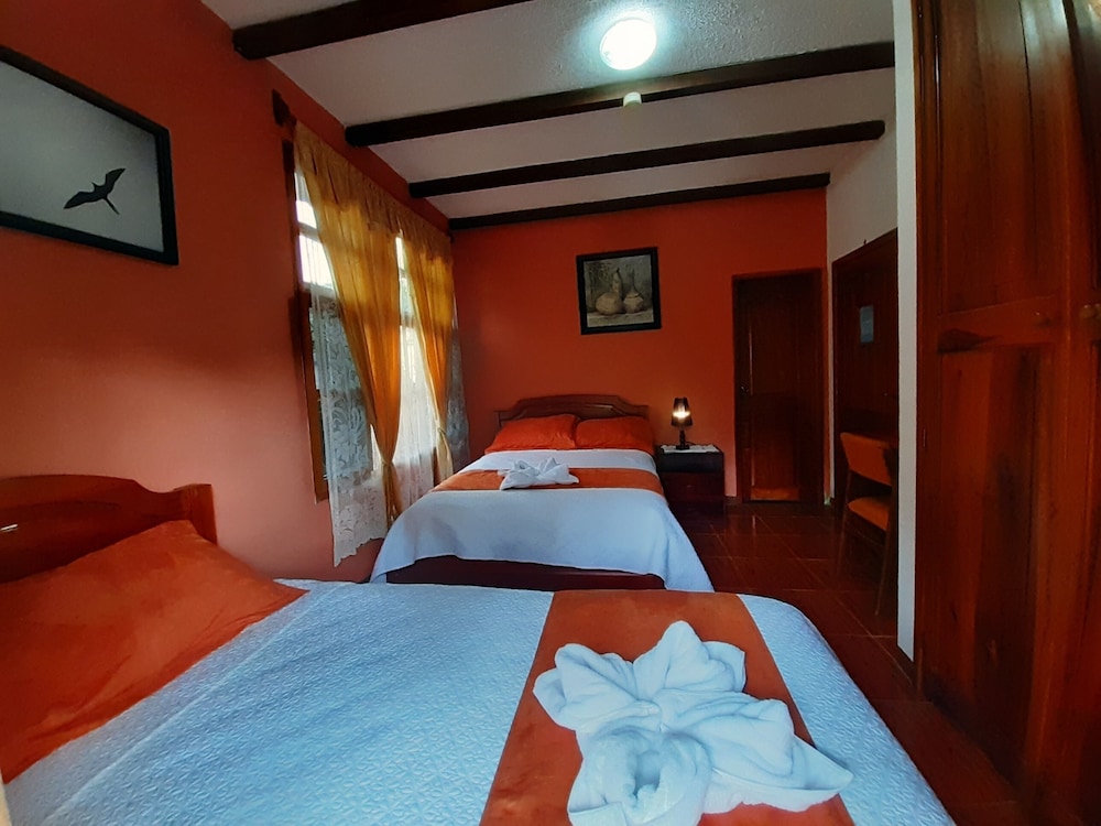 Basic Single Room, 1 Double Bed with Sofa bed photo 2