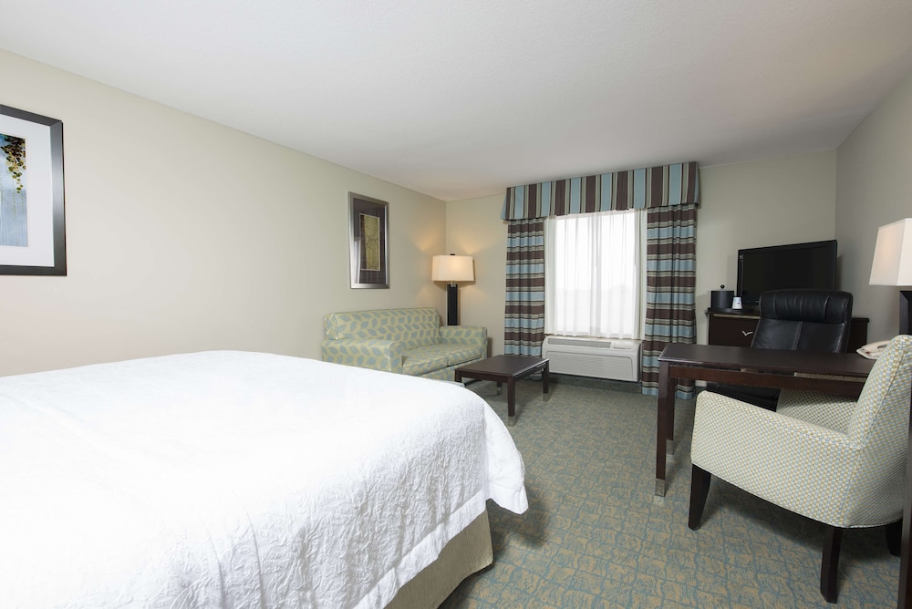 Room, 1 King Bed, Non Smoking