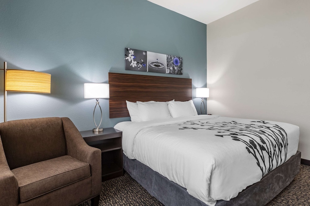 Standard Room, 1 King Bed, Non Smoking - Photo 2