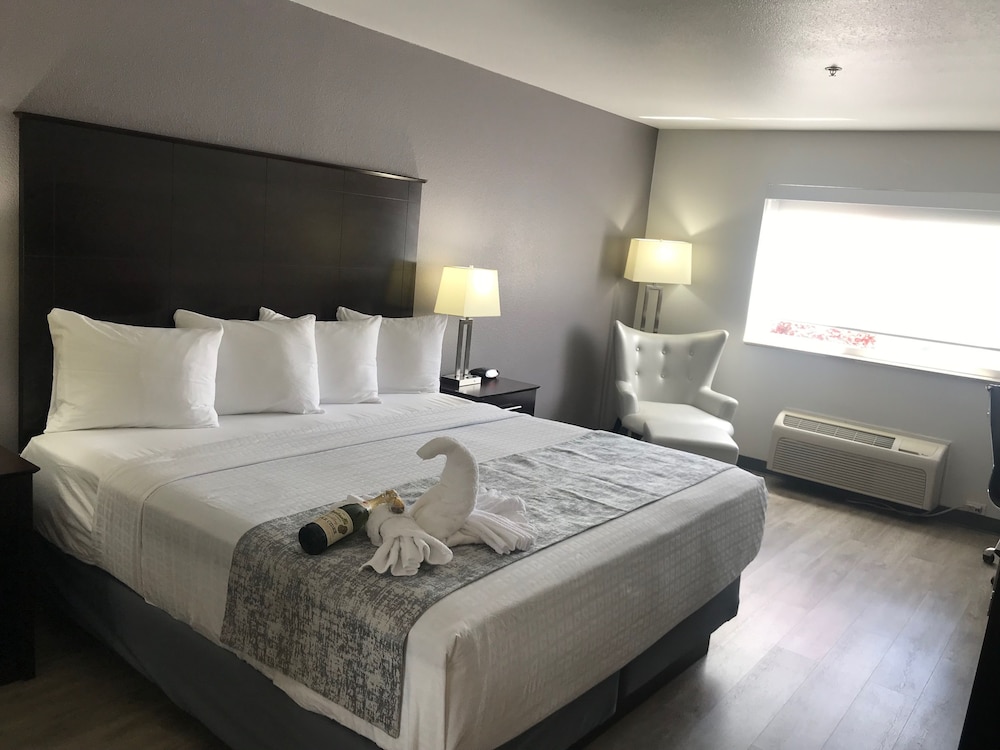 Standard Room, 1 King Bed, Non Smoking, Refrigerator & Microwave - Photo 6