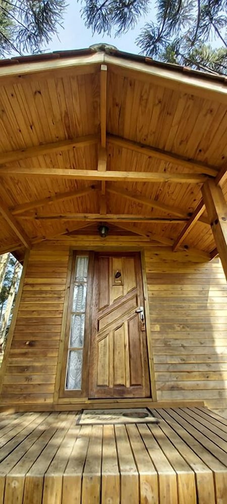 Classic Cabin, Garden View photo 3