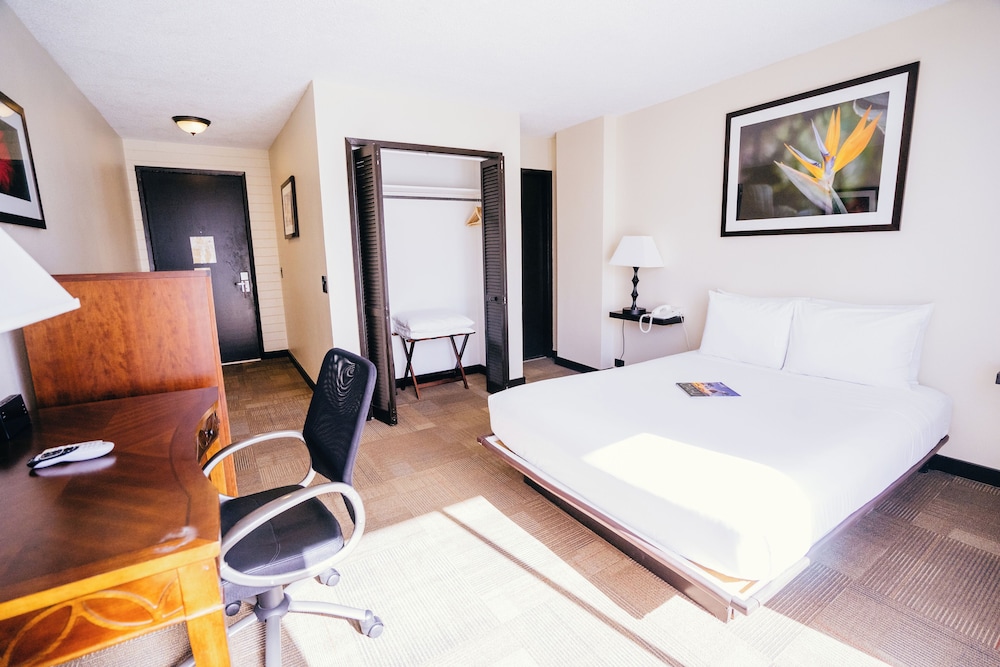 Petite Queen Room photo 3