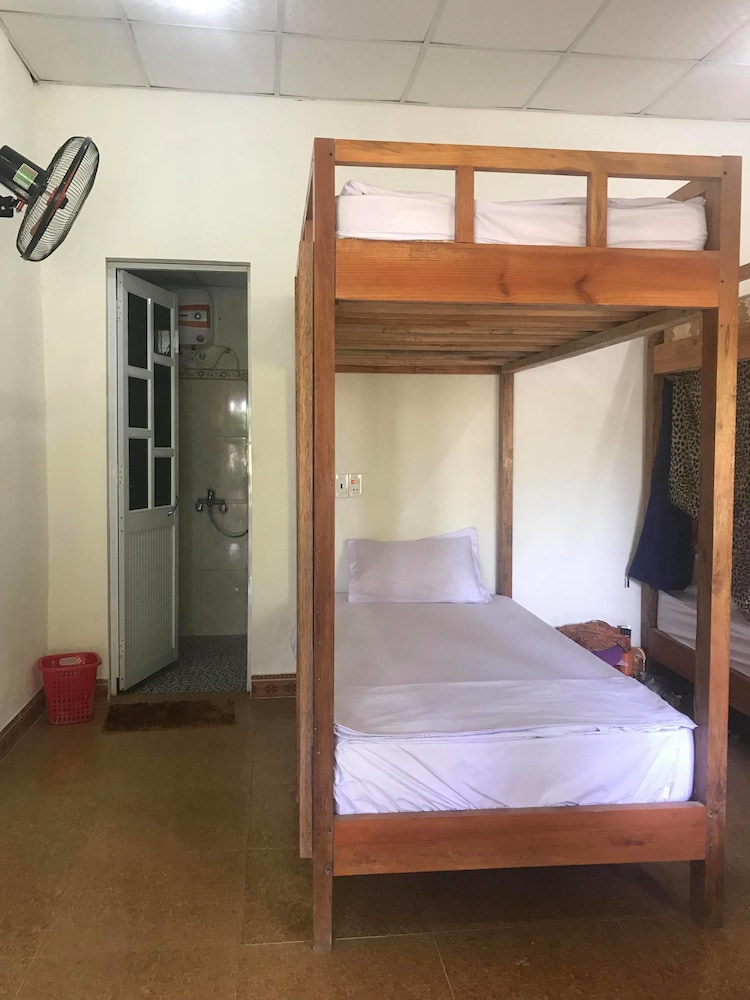 Classic Shared Dormitory, Multiple Beds photo 2