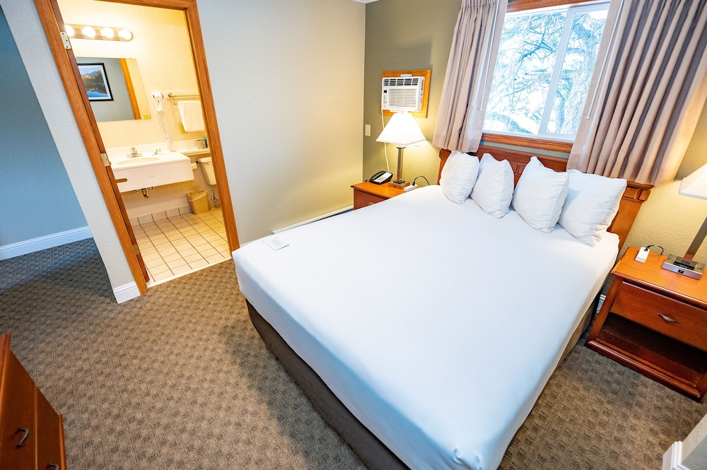 Junior Studio Suite, 1 Bedroom, Refrigerator & Microwave photo 2