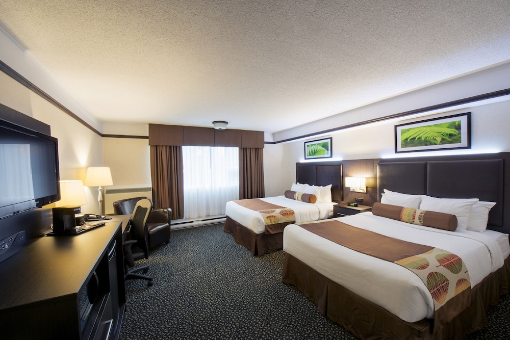 Standard Room, 2nd Floor, 2 Queen Beds