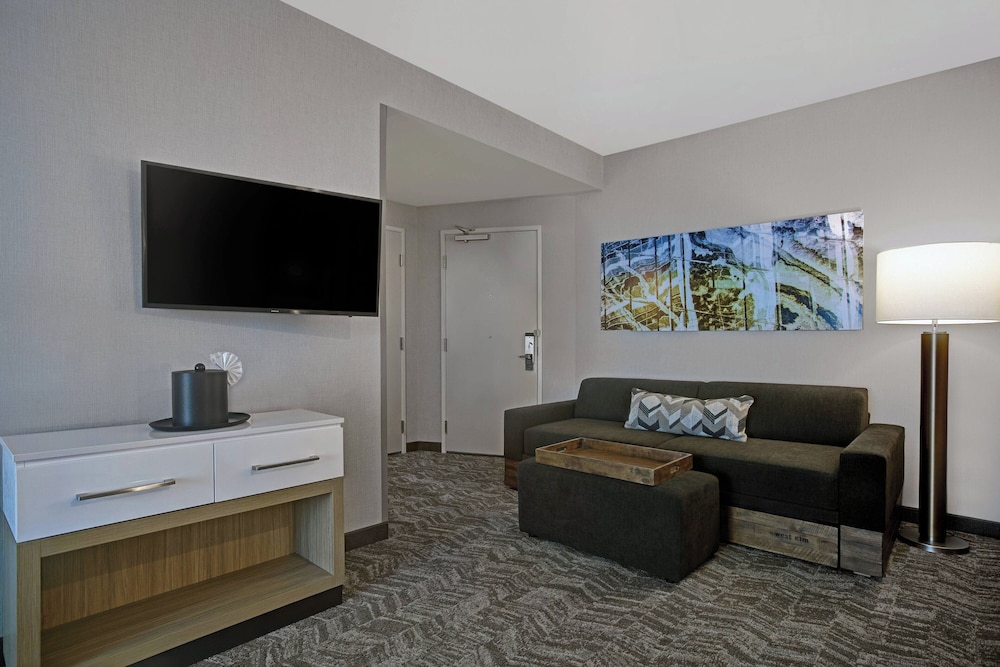 SpringHill Suites by Marriott Franklin Cool Springs, Photo 7