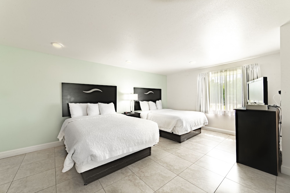 Studio Suite, 2 Queen Beds, Kitchenette photo 2