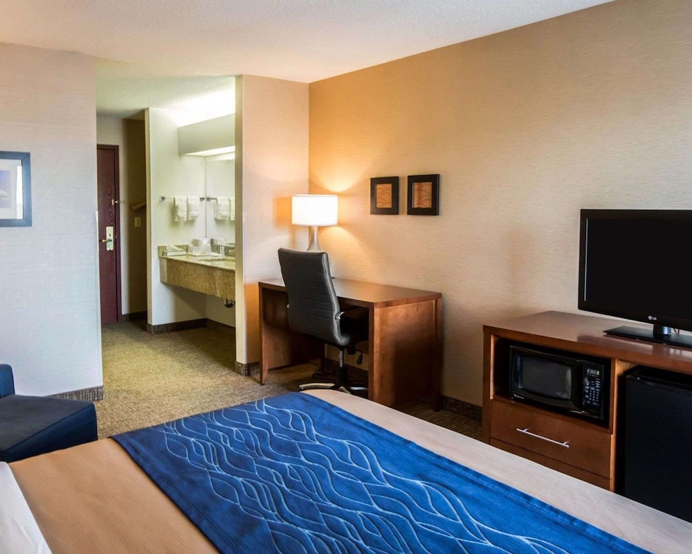 Standard Room, 1 King Bed, Accessible, Non Smoking (Accessible Bathtub) - Photo 7