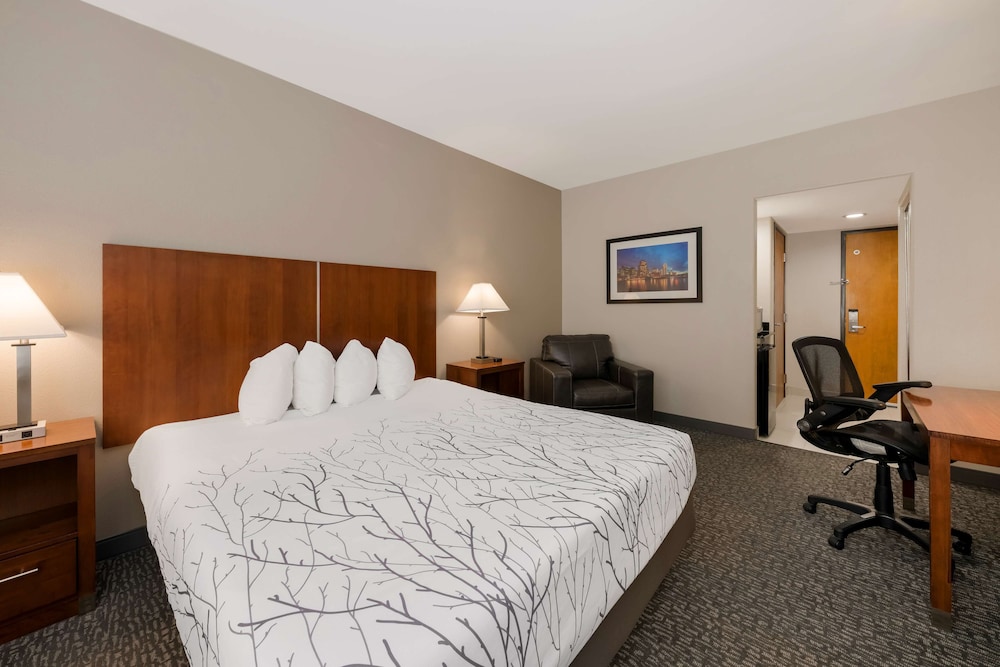 Standard Room, 1 King Bed, Non Smoking, Refrigerator & Microwave - Photo 3