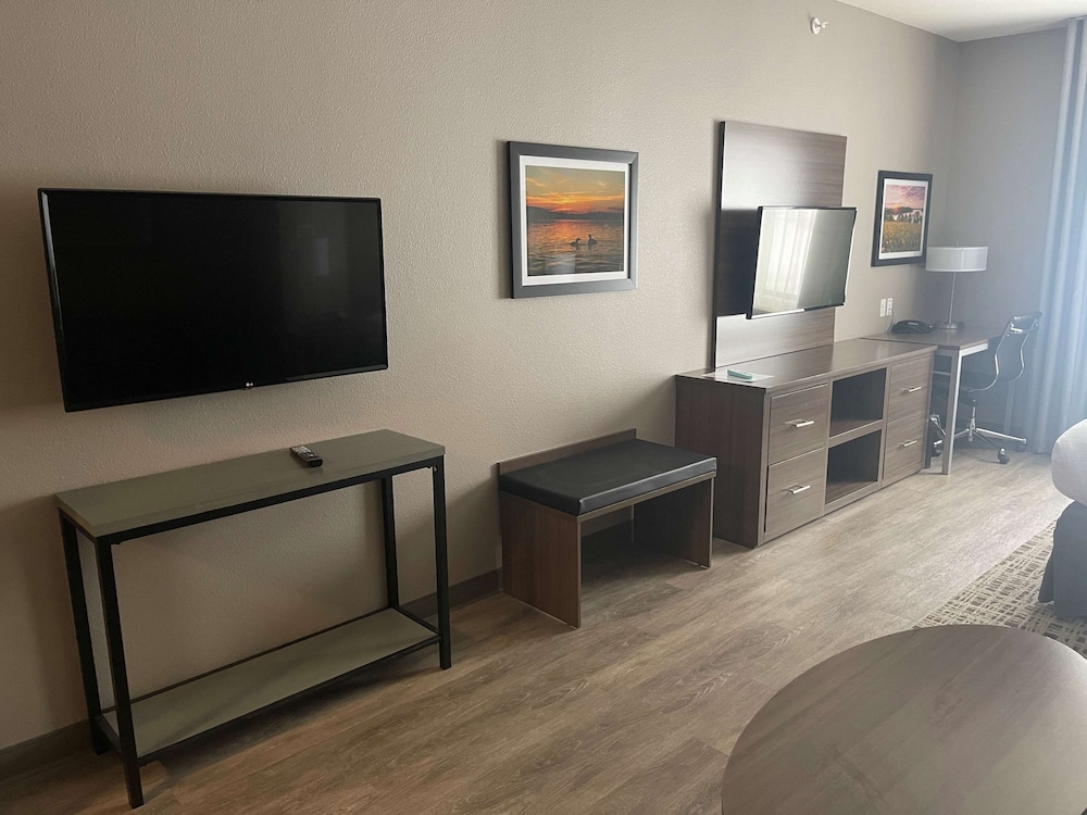 Suite, 1 King Bed, Non Smoking, Refrigerator & Microwave (Walk-in Shower;with Sofabed) - Photo 3