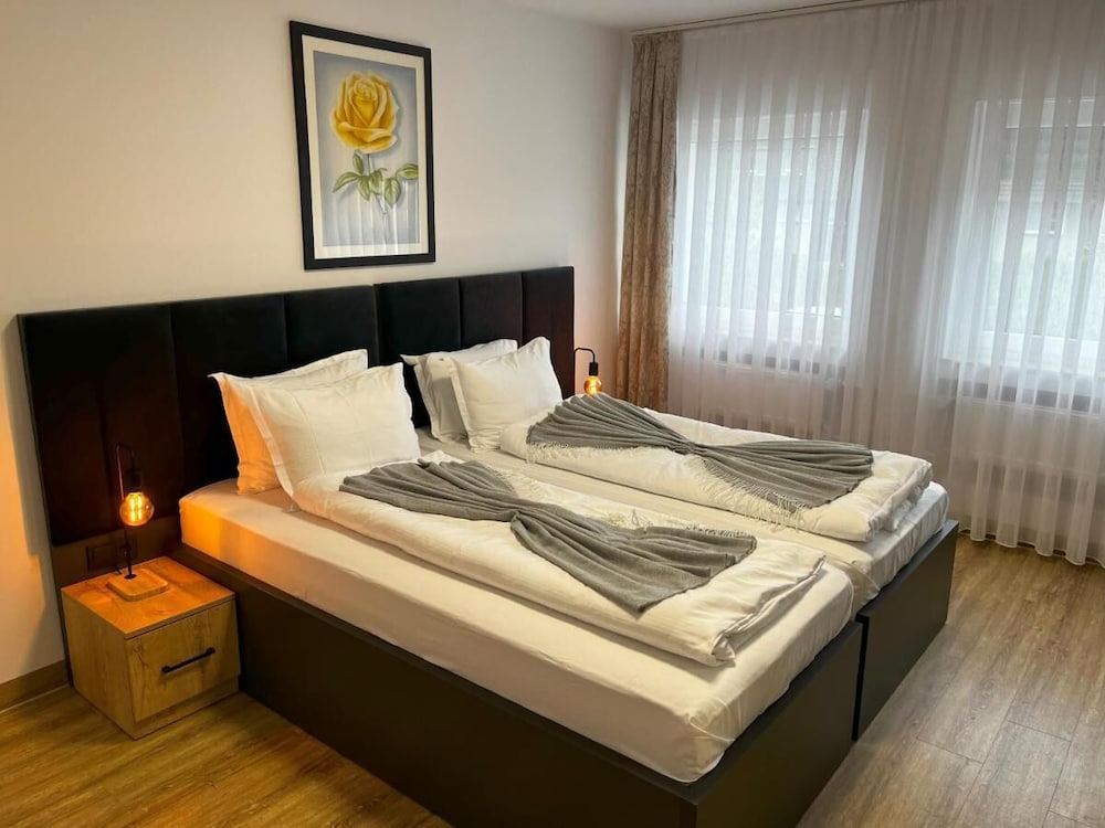 Business Double Room, 1 Bedroom, Non Smoking, Air conditioning photo 1