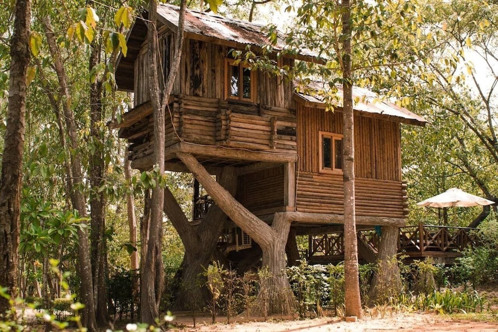 Romantic Tree House, 1 King Bed, Garden View