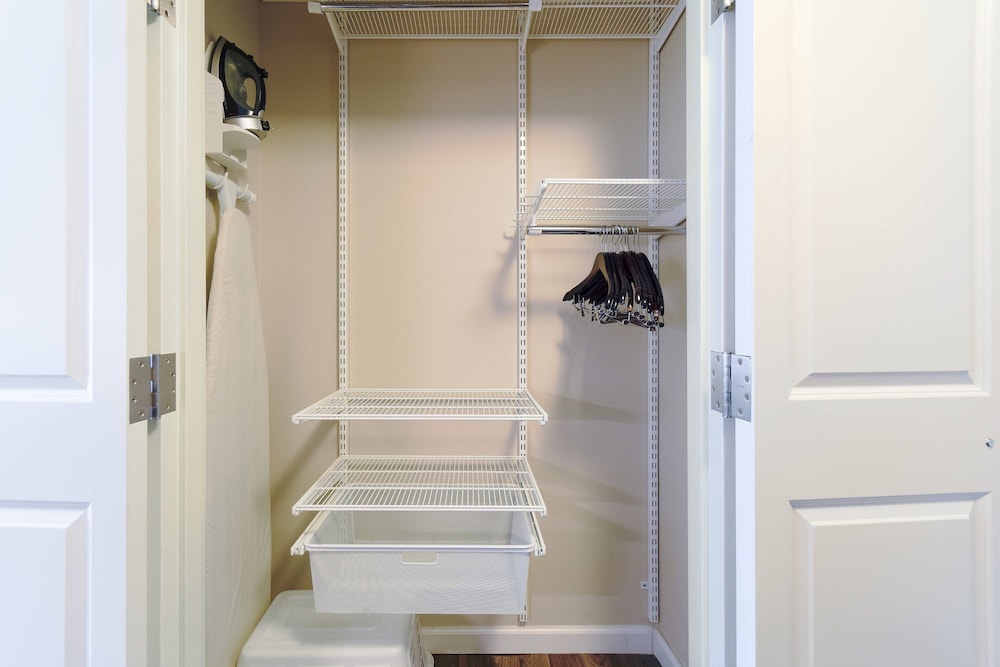 Studio, 2 Queen Beds photo 3