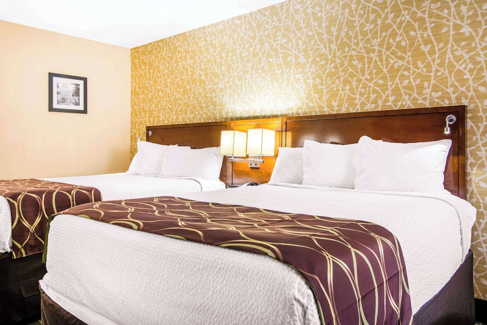 Standard Room, 2 Double Beds, Non Smoking photo 2