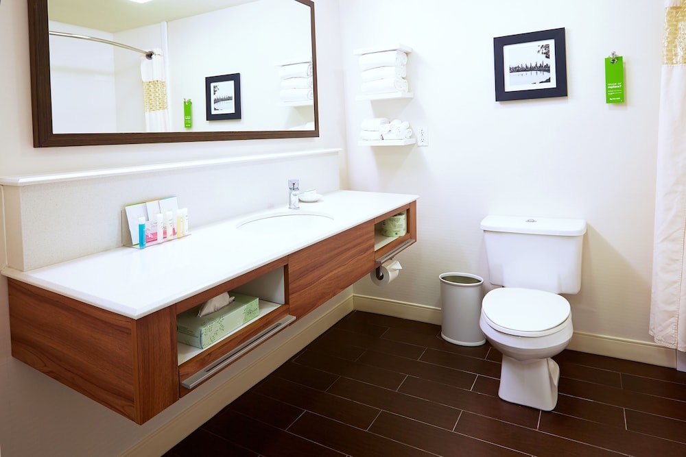 Room, 1 King Bed, Accessible (Roll-In Shower) - Photo 5