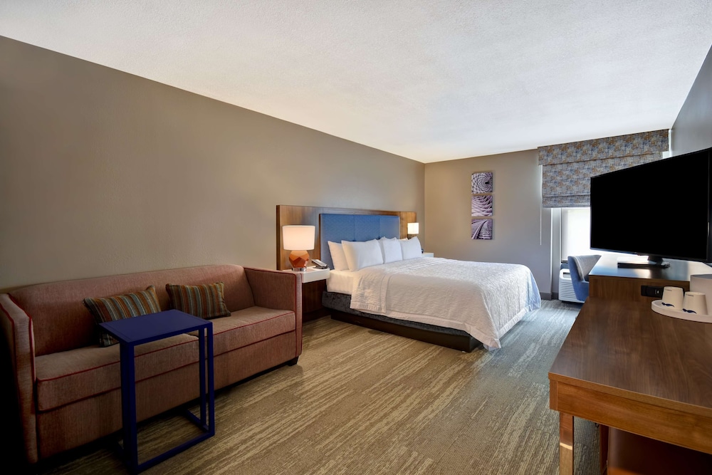 Room, 1 King Bed with Sofa bed (Mobility & Hearing, Roll-in Shower) - Photo 4