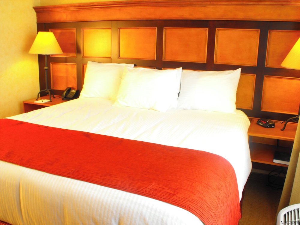 Deluxe Room, 1 King Bed (Deluxe ADA Accessible King Bed) photo 2