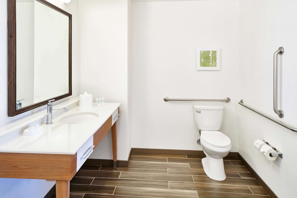 Studio, 1 King Bed, Accessible, Non Smoking (Mobility & Hearing, Roll-in Shower)