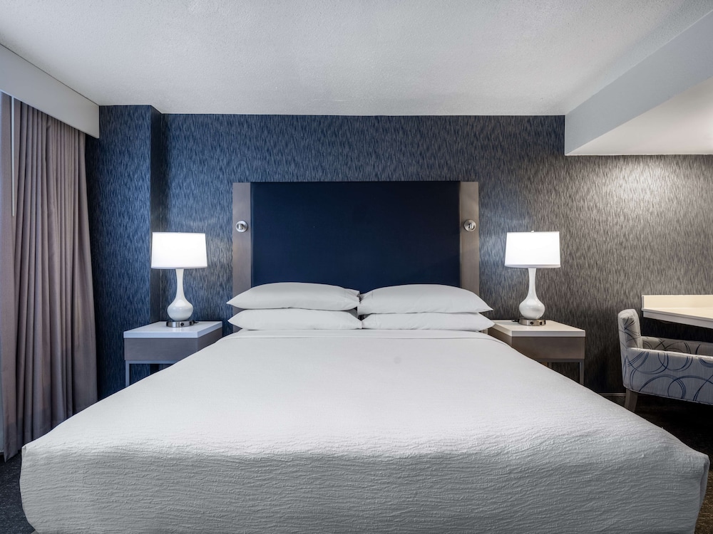 Suite, 1 King Bed, Accessible - Photo 1