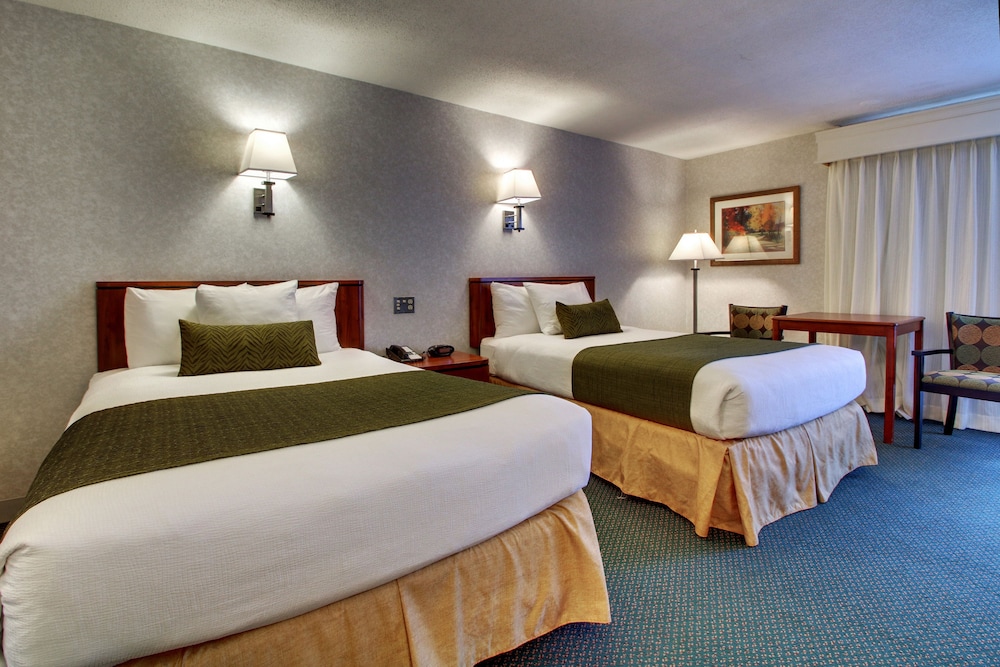 Room, 2 Double Beds photo 1