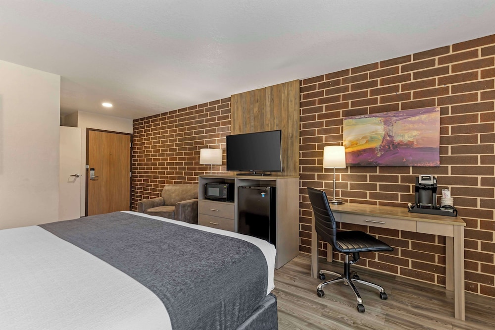 Standard Room, 1 King Bed, Accessible, Refrigerator & Microwave - Photo 3