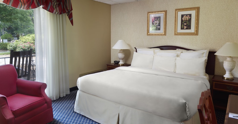 Suite, 1 King Bed (Studio King Room) photo 1