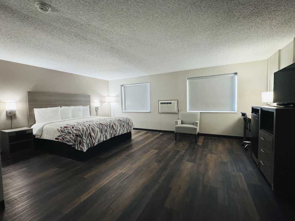 Superior Room, 1 King Bed, Non Smoking photo 1