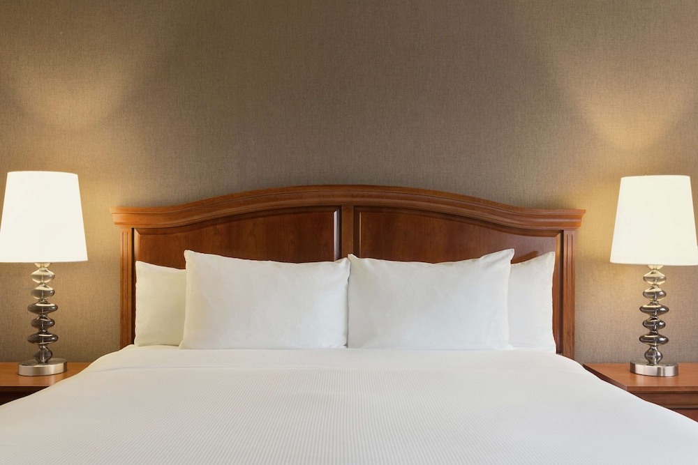 Room, 1 King Bed photo 2