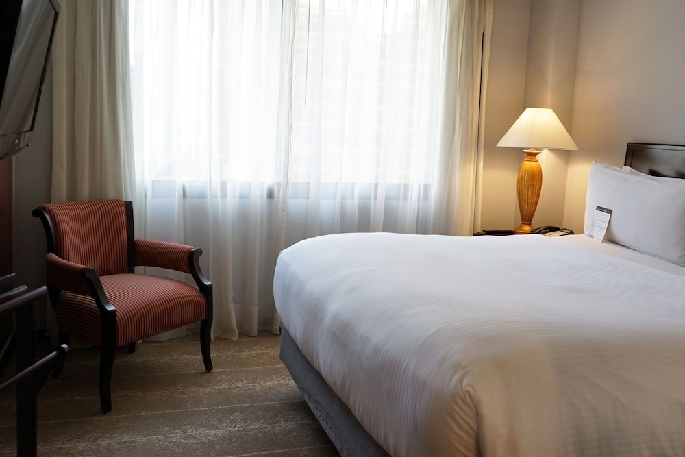 Executive Suite, 1 Bedroom, City View - Photo 1