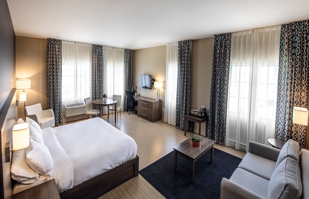 Suite, Studio-loft Style, 1King Bed and Sofabed
