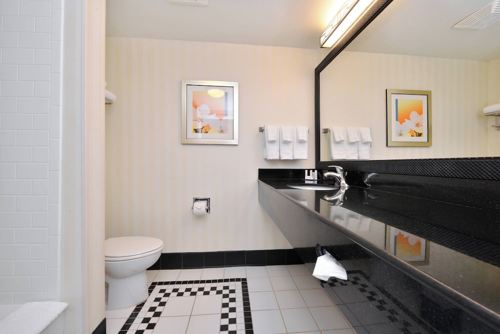 Room, 1 King Bed (Mobility/Hearing Access, Roll-in Shwr) - Photo 4