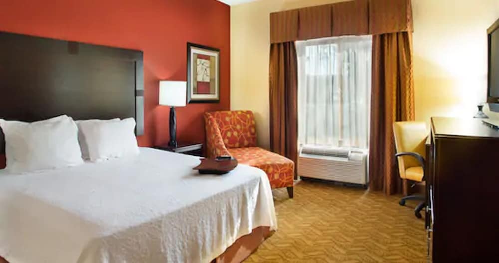 Suite, 1 King Bed, Accessible, Non Smoking - Photo 2