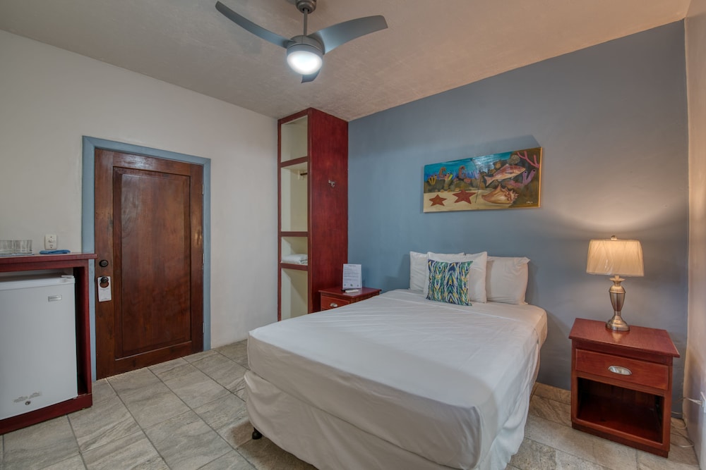 Starfish Queen Mini-Suite photo 1