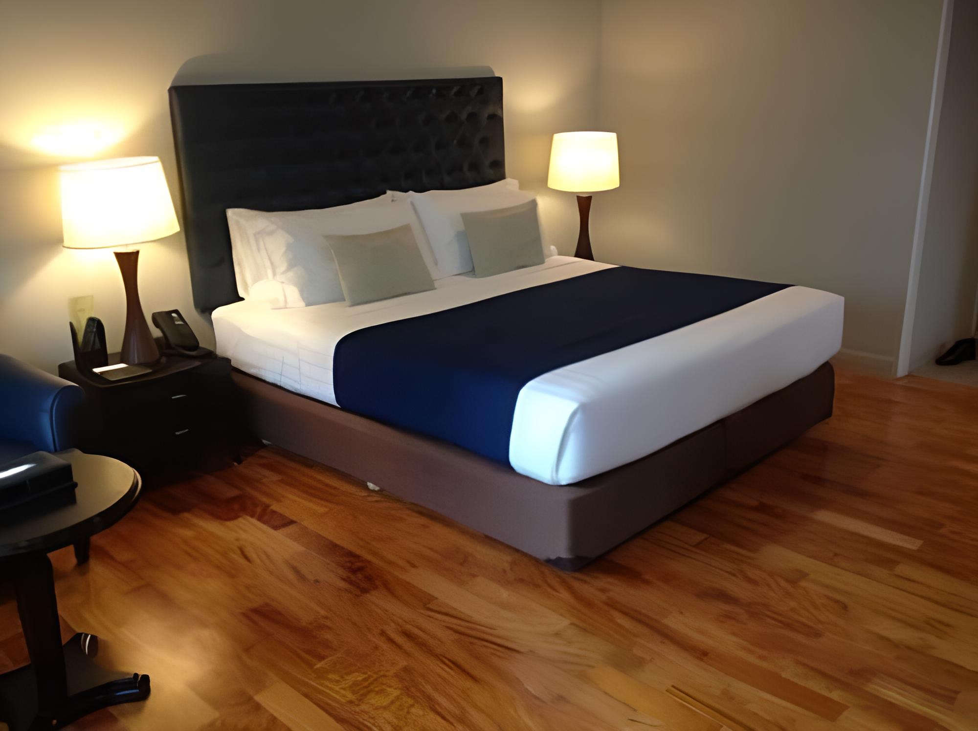 Premier Room photo 3
