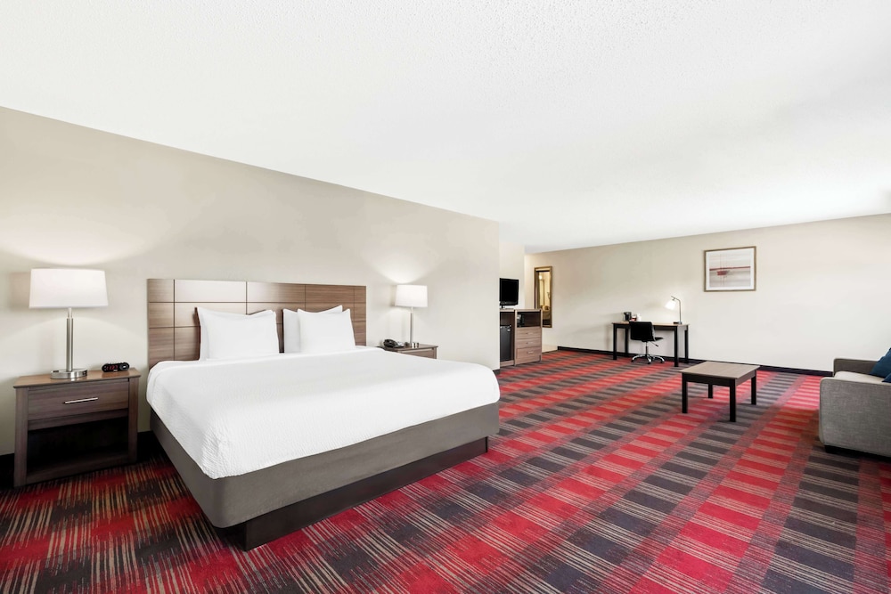 Standard Room, 1 King Bed, Non Smoking, Refrigerator & Microwave (Larger Room)