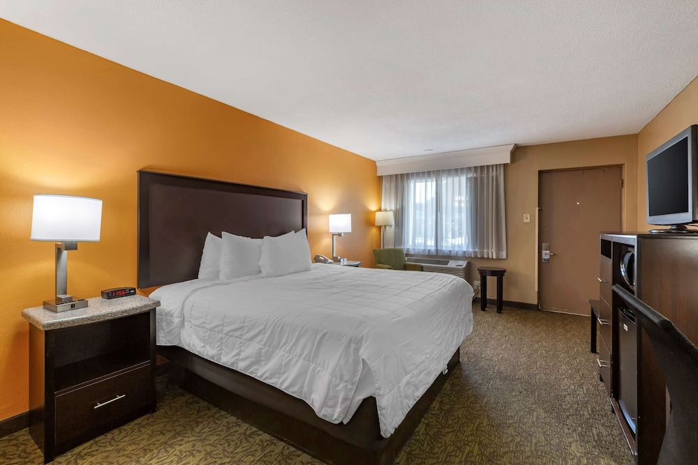 Standard Room, 1 King Bed, Non Smoking, Refrigerator & Microwave - Photo 2