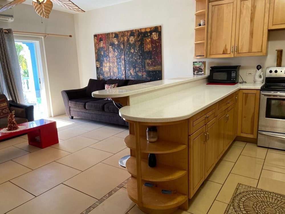 Traditional Apartment, 1 Bedroom photo 2