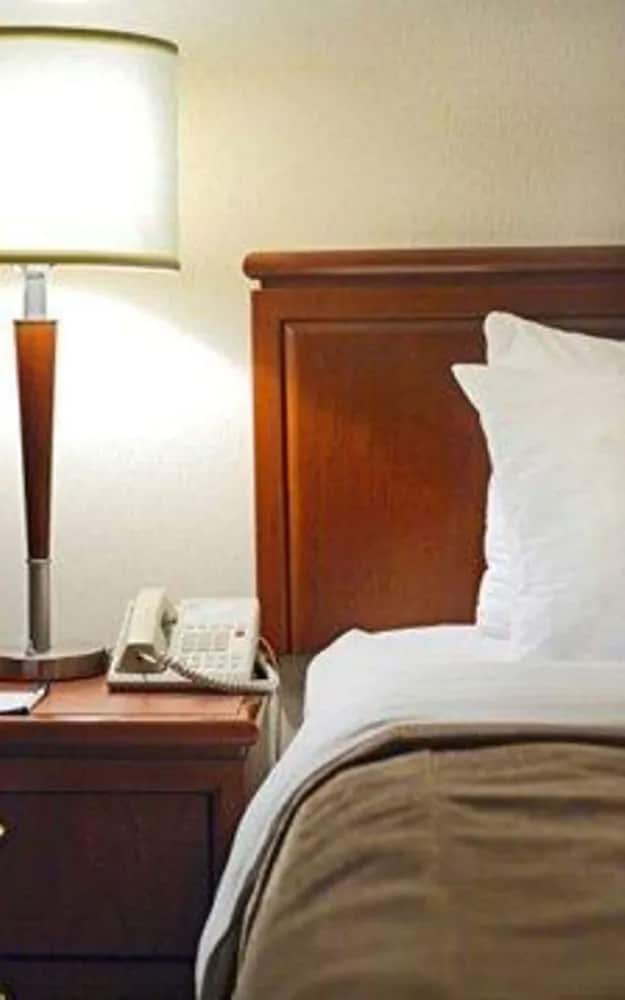 Business Room, 2 Double Beds, Non Smoking photo 3