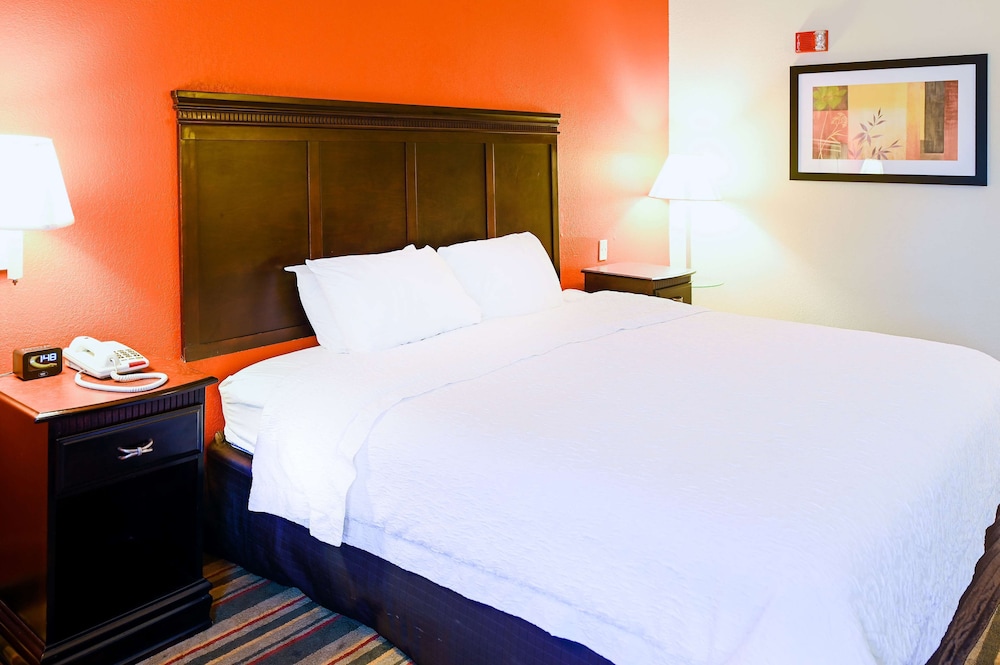 Classic Room, 1 King Bed, Accessible (Mobility Room - Roll In Shower) - Photo 4